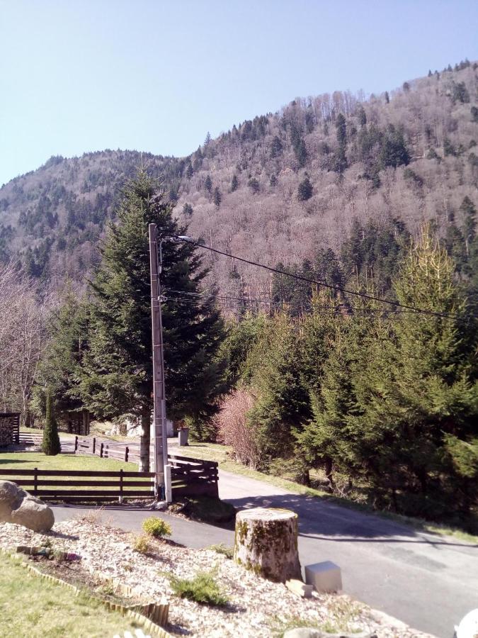L Annexe Villa Mittlach Exterior photo
